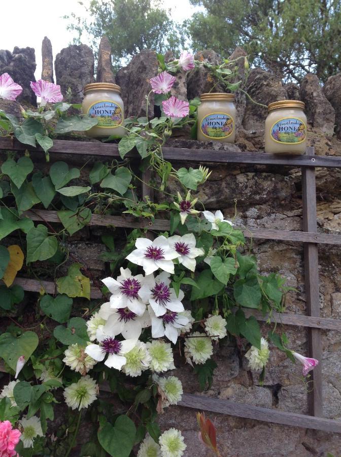 The Oak Lodge, Clematis Cottages, Stamford Dış mekan fotoğraf